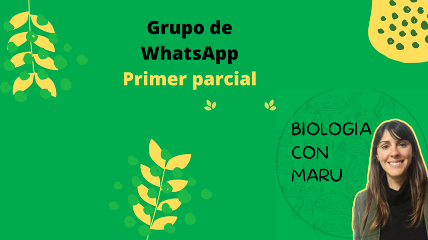 Grupo de WhatsApp, primer parcial