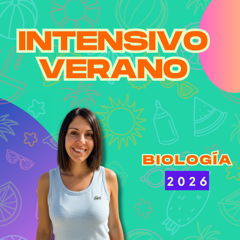 Curso INTENSIVO de VERANO 2026