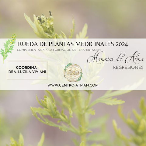 Rueda Medicinal 2024 - Memorias del Alma