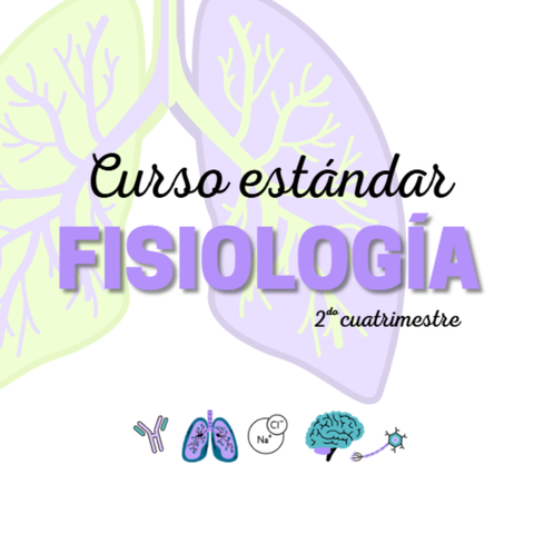 FISIO ESTANDAR 2026