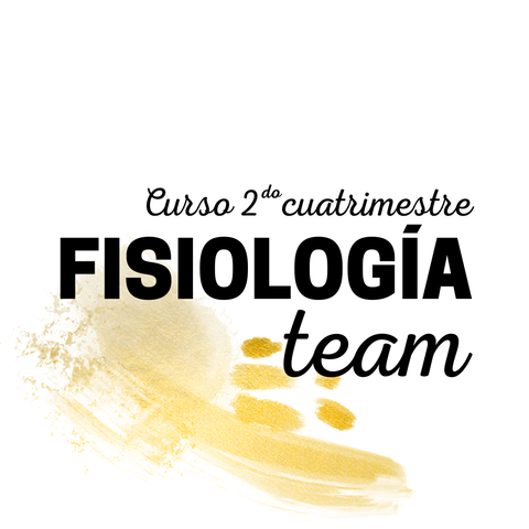 FISIO TEAM I Cupos disponibles