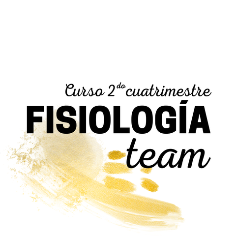 2do cuatrimestre | FISIO TEAM