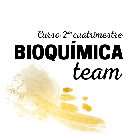 BIOQUI TEAM I Cupos disponibles
