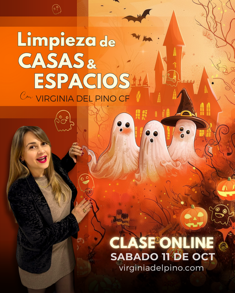 LIMPIEZA DE CASAS Y ESPACIOS