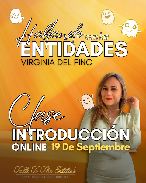 INTRO Hablando con las Entidades