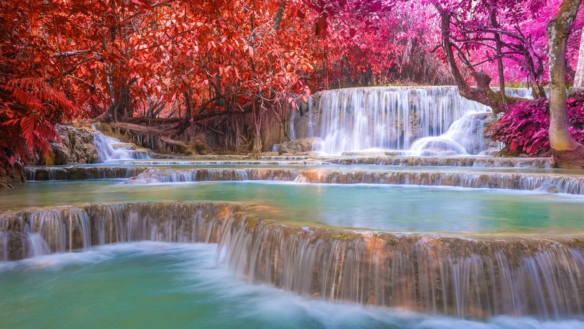 Generalidades del Sueño