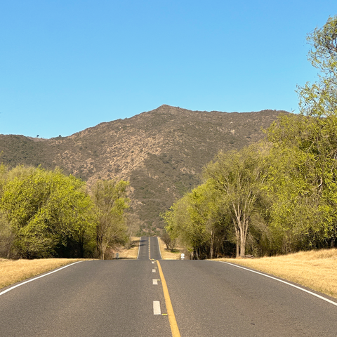 ¿Estoy siendo quien quiero ser?