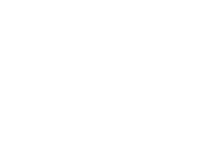 VMT - MENTORIA M6