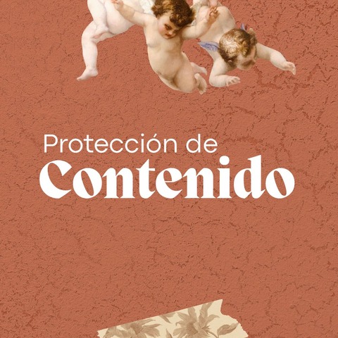 PROTECCION DE CONTENIDO - OBRA