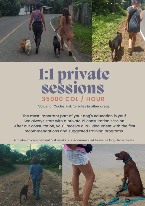 1:1 In person Private Training @ Cocles | Sesión Privada 1:1 en Cocles