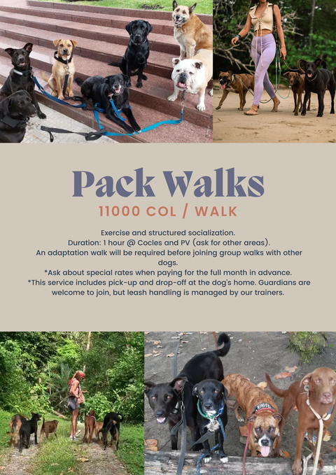 Pack Walk | Caminata en Manada