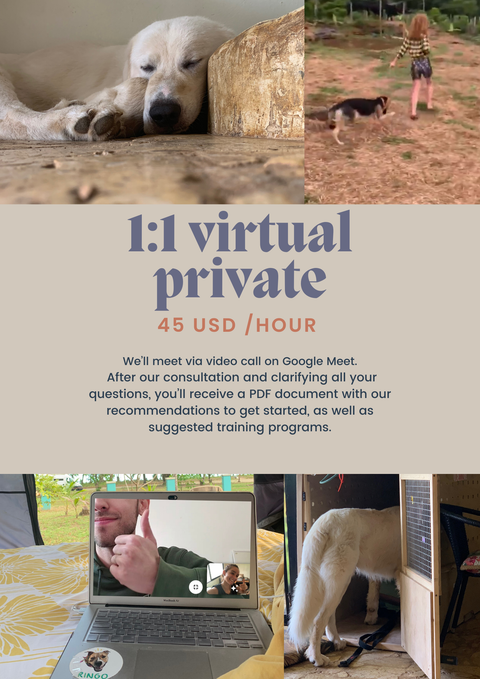 Virtual Training | Entrenamiento virtual