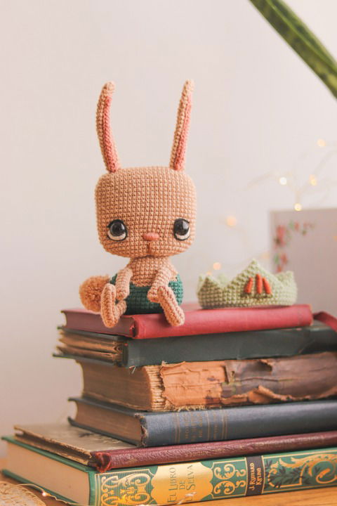 Pini, Coneja PDF Amigurumi 2D