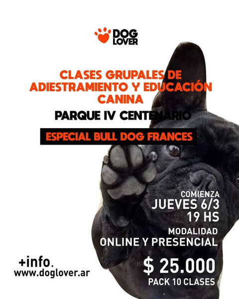 Clases grupales especial razas (bulldogs frances) marzo - 2025