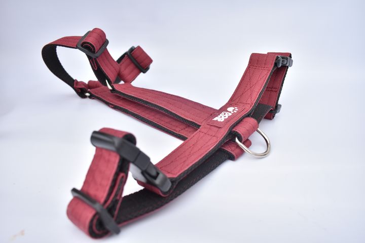 Arnés Rígido en H Línea PRO para Perros.