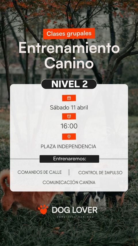 Clases grupales nivel 2 