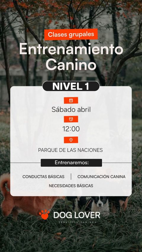 Clase grupal nivel 1 