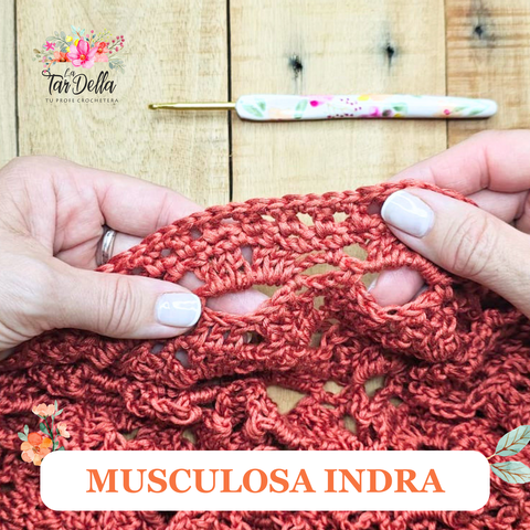 Musculosa INDRA - Proyecto de DICIEMBRE