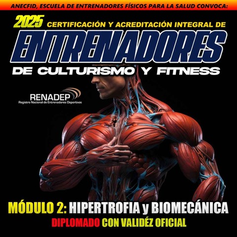 Módulo 2: HIPERTROFIA y BIOMECÁNICA (MÚSCULO DEL MUSLO) | ACCESO ANTICIPADO