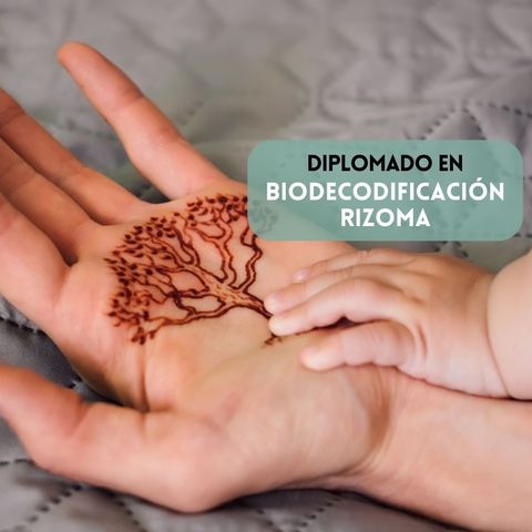 Trayecto inicial del Diplomado en Biodecodificación Rizoma