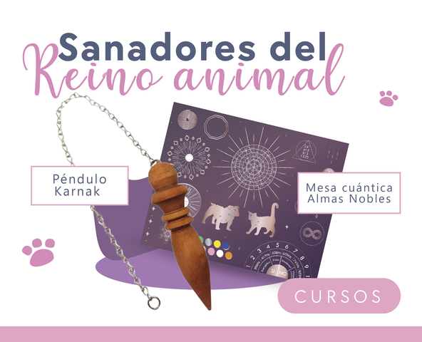 🐾Sanadores del reino animal🐾
