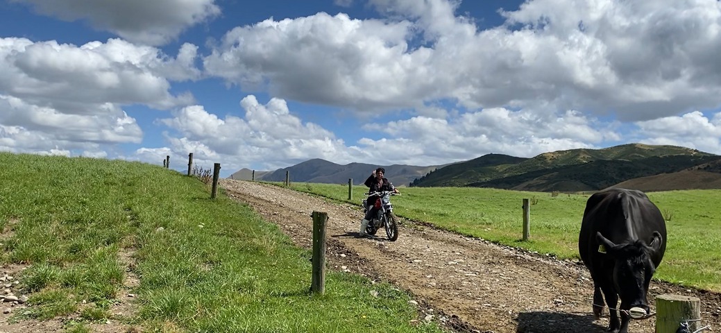 Programa Rural Leaders-Pampa New Zealand