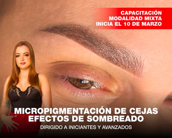 Micropigmentación de Cejas Efectos de Sombreado, Modalidad Mixta - Inicia 10 de Marzo