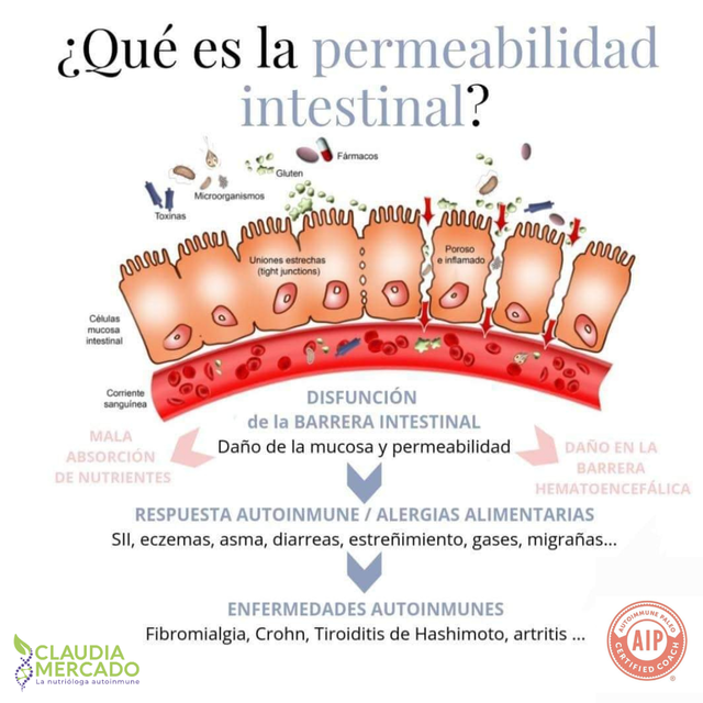 Intestino Hiperpermeable