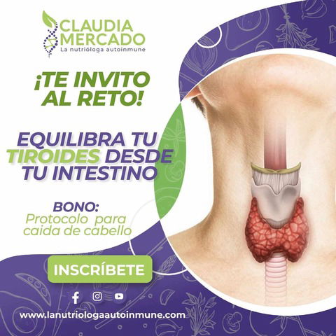 EQUILIBRA TU TIROIDES DESDE TU INTESTINO (Consulta y Protocolos)