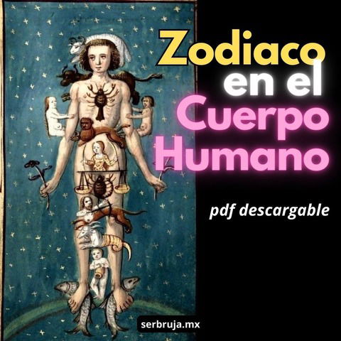 ZODIACO EN EL CUERPO HUMANO