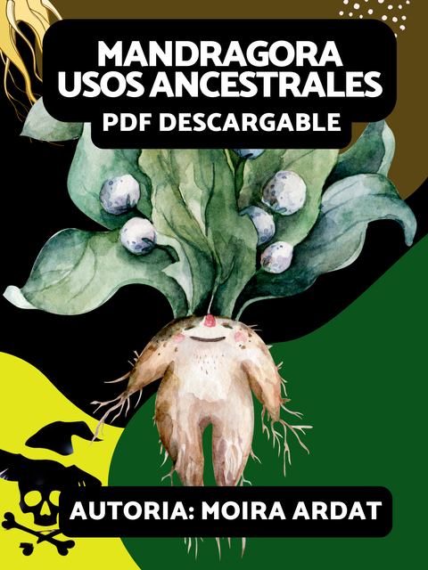 MANDRAGORA Y SUS USOS