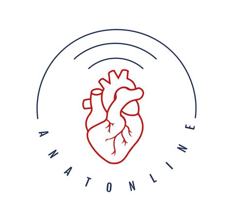 anatonline