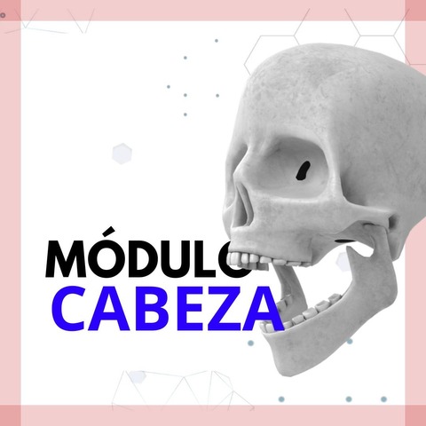 Módulo de Cabeza