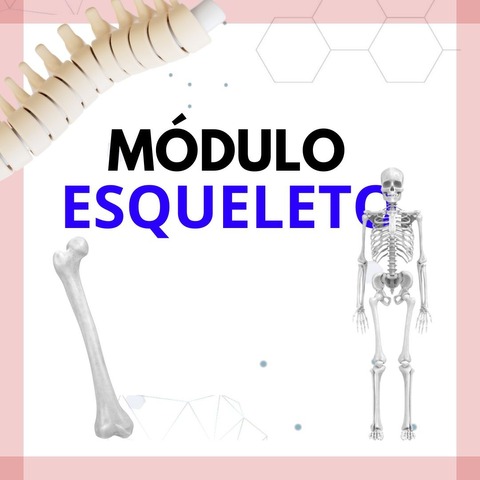 Módulo Esqueleto