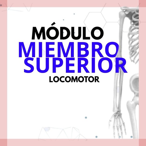 Modulo de Miembro Superior (Locomotor)