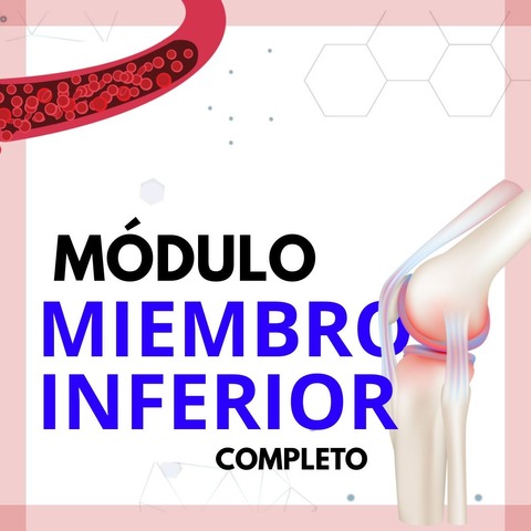 Módulo de Miembro Inferior 2