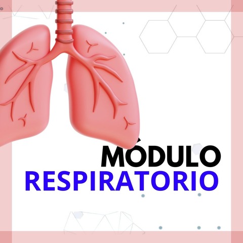 Módulo de sistema respiratorio