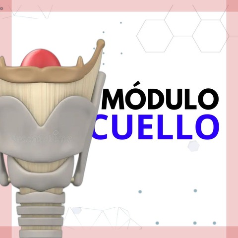 Módulo de Cuello
