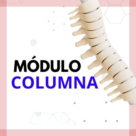 Módulo de Columna