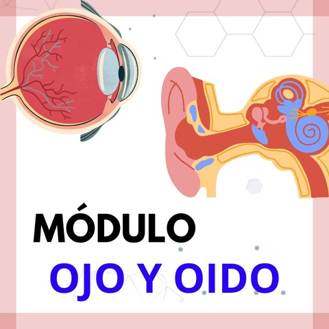 Módulo de Ojo y Oido