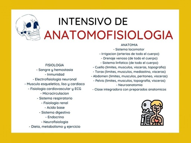 Intensivo de final Anatomofisiologia