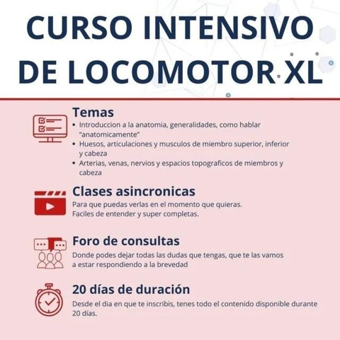 EXTENDIDO XL