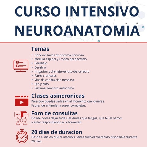 3- Neuroanatomia