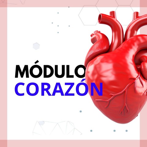 Módulo de Corazón
