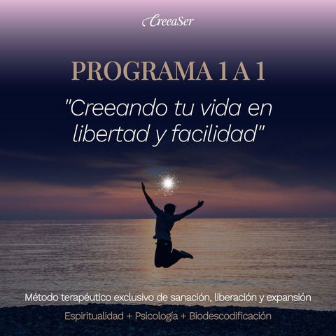 Programa terapéutico 1 a 1 