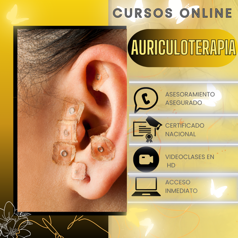 Curso de Auriculoterapia