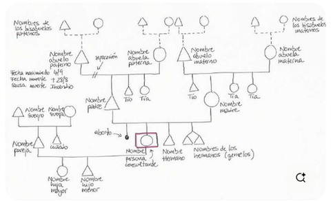 Cómo realizar el Arbol Genealogico para una Constelación
