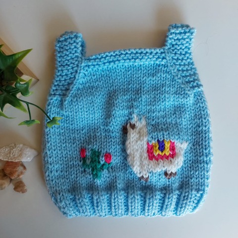 Chaleco Llama