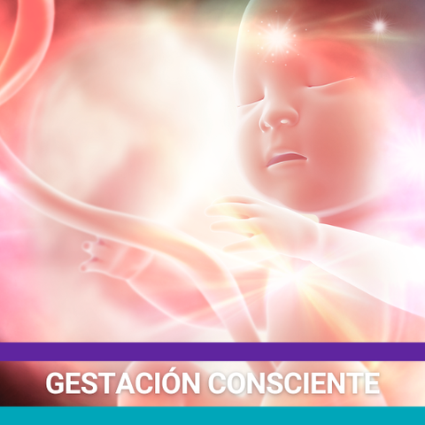 Acompañamiento Personalizado a tu Gestación Consciente