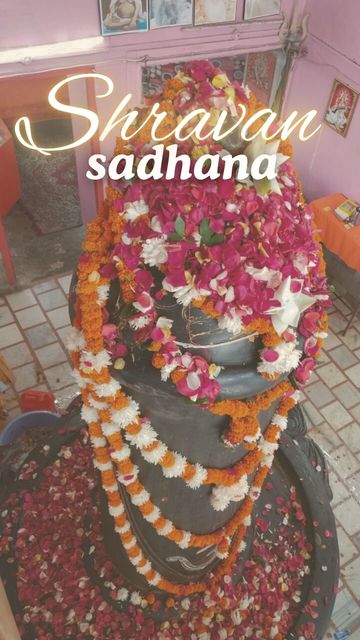 Sumate a la comunidad de Sadhanas (prácticas) de Shravan